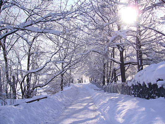 Winterspaziergang um den Bachtelweiher 2006